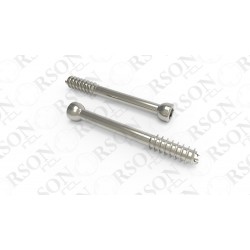 Extremity Screws   